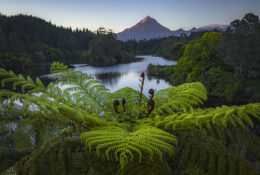 New Zealand 2025 (2 group) (73/84)